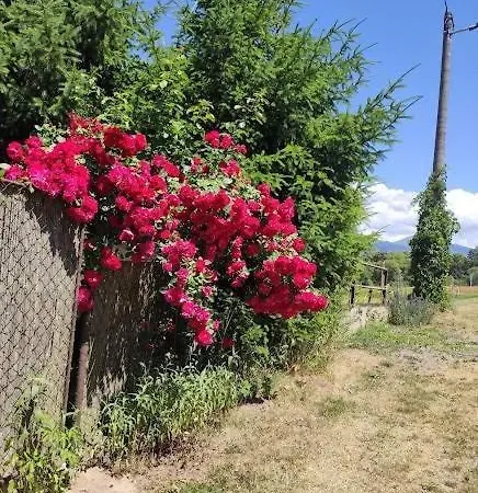 Vakantiehuis Apartman Domcek